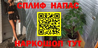 крисы Камышлов