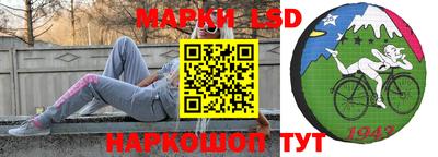 крисы Камышлов