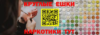 крисы Камышлов