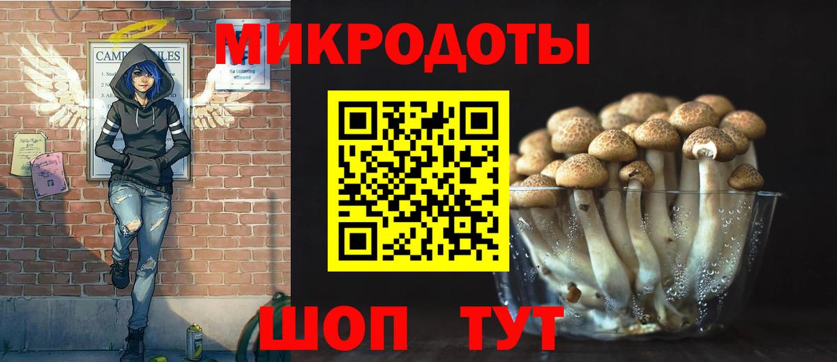 Луга  Псилоцибиновые грибы ЛСД  Вход с VPN 