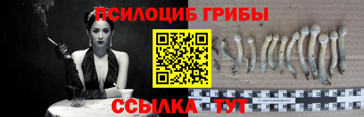 Галлюциногенные грибы мицелий Луга